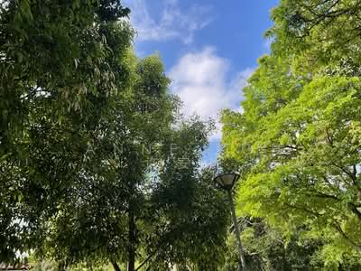 For Sale - Watten House