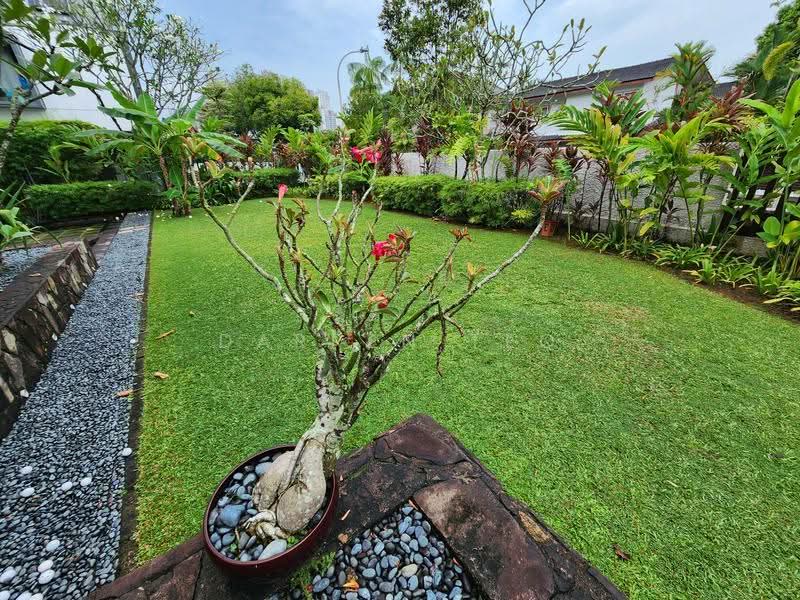 ❤️ Expat's Favorite! Contemporary Detached House With Nice Garden❤️, Clementi Park / Upper Bukit Timah, 5 Bedrooms, 6,000 sqft, Detached House For Rent, by Darren Teo, 24786037 - PropertyGuru.com.sg