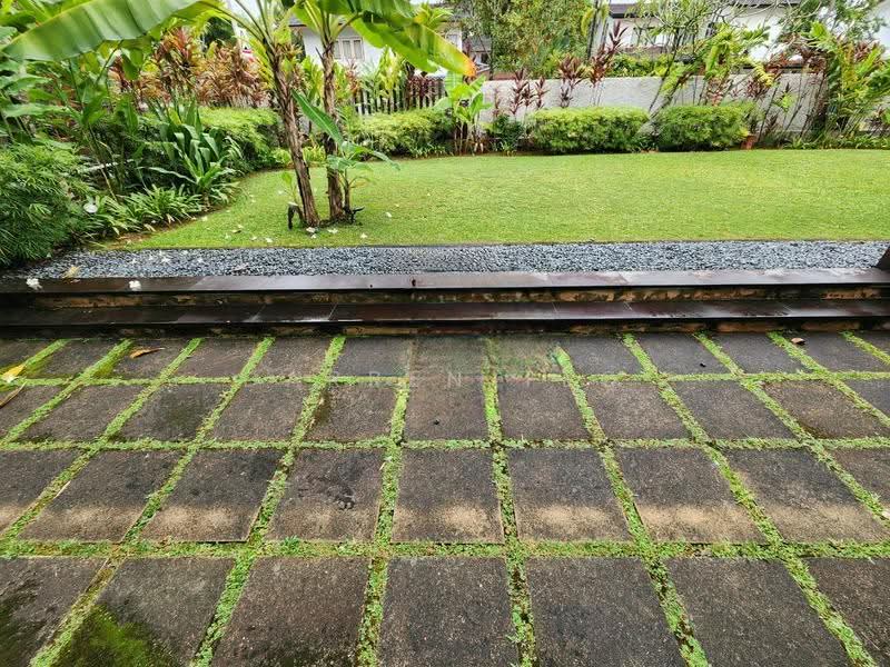 ❤️ Expat's Favorite! Contemporary Detached House With Nice Garden❤️, Clementi Park / Upper Bukit Timah, 5 Bedrooms, 6,000 sqft, Detached House For Rent, by Darren Teo, 24786037 - PropertyGuru.com.sg