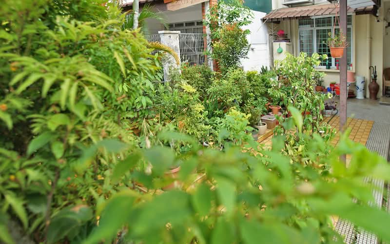 Lorong Pisang Hijau, , 3 Bedrooms, 2,500 sqft, Terraced House For Rent, by Eve Lim, 24787538 - PropertyGuru.com.sg