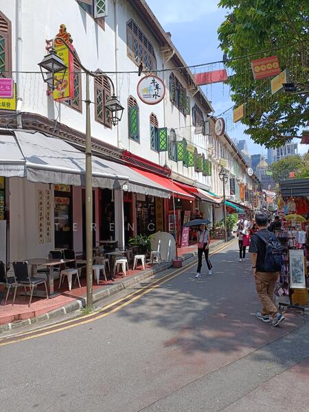 Chinatown, Sago Street, 2,659 sqft, Shop / Shophouse For Sale, by Terence Tan, 24787993 - CommercialGuru.com.sg