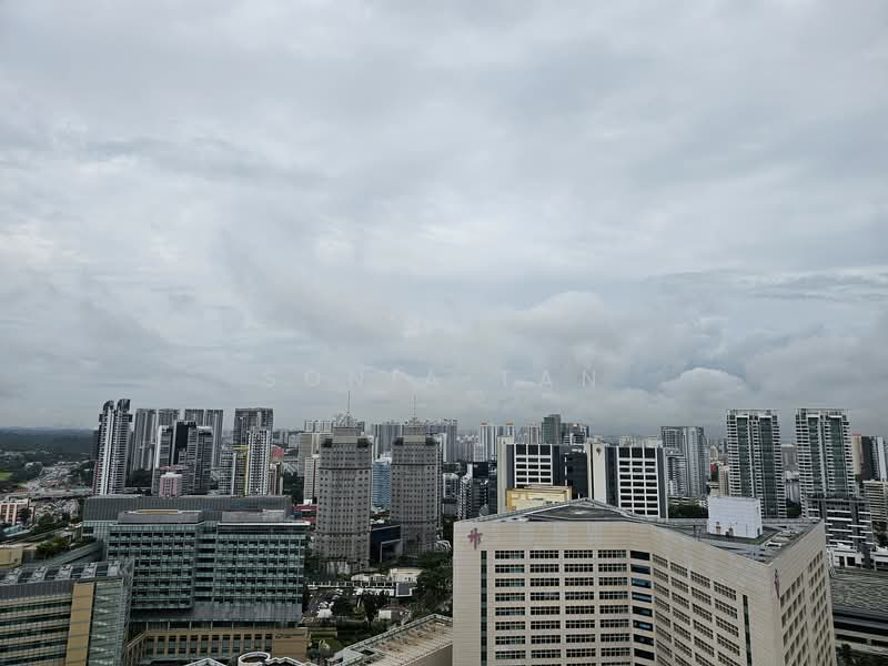 Soleil @ Sinaran, 2 Sinaran Drive, 2 Bedrooms, 958 sqft, Condominium For Rent, by Sonia Tan, 24800126 - PropertyGuru.com.sg