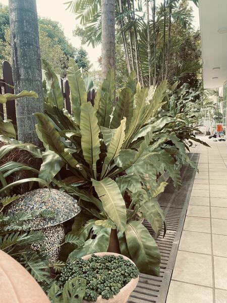 For Rent - Bedokville