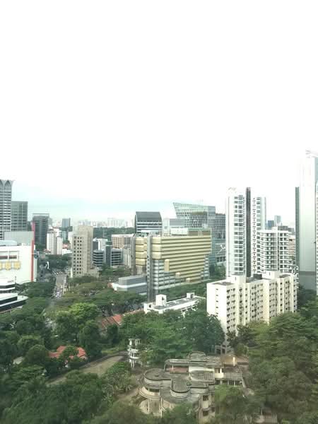 New Futura, 16 Leonie Hill Road, 4 Bedrooms, 2,249 sqft, Condominium For Rent, by Alex Huang, 24809200 - PropertyGuru.com.sg