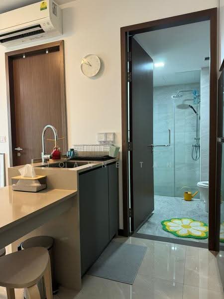 Normanton Park, 45 Normanton Park, Buona Vista / West Coast / Clementi New Town, 1 Bedroom, 527 sqft, Condominium For Rent, by Joanne Tan, 24814951 - PropertyGuru.com.sg