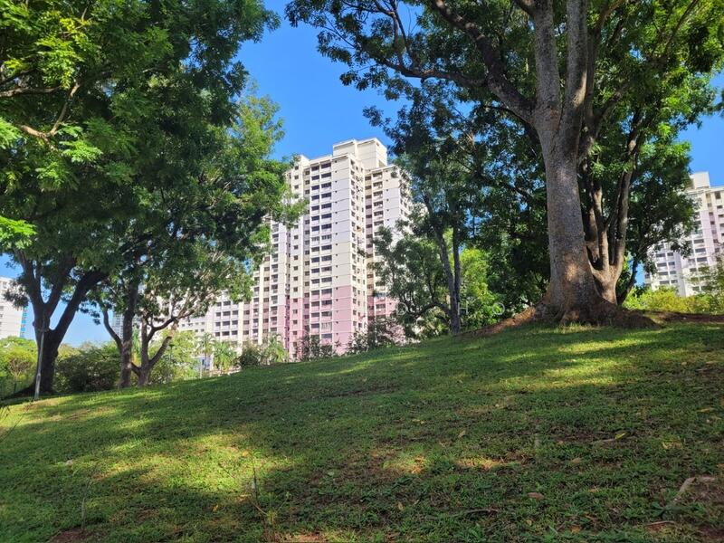 35 Jalan Rumah Tinggi, 35 Jalan Rumah Tinggi, Room Rental, 180 sqft, HDB Flat For Rent, by Richard Ho, 24831304 - Garden below the block - PropertyGuru.com.sg