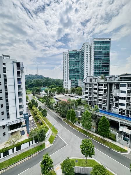 For Sale - Laurel Tree