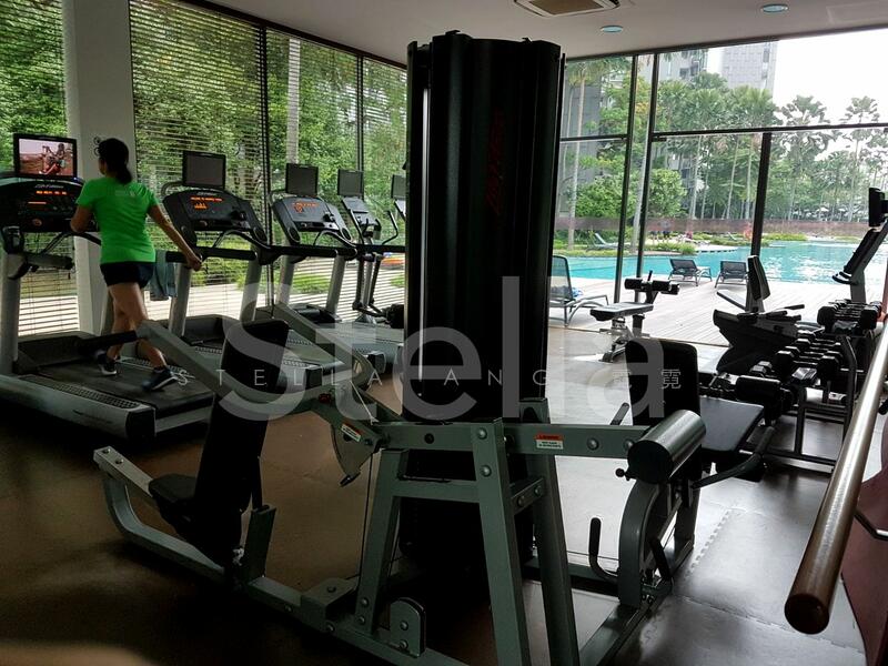 Gym with poolview - Treadmill