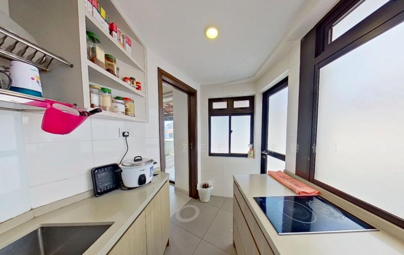 Jade Mansion, 10 Leedon Road, 6 Bedrooms, 5,300 sqft, Condominium For Rent, by Brenda Zee (徐黎倫), 24850448 - JADE MANSION, Duplex Penthouse, 6 Bedrooms Ensuite - PropertyGuru.com.sg