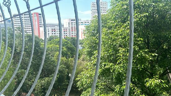 216 Jurong East Street 21