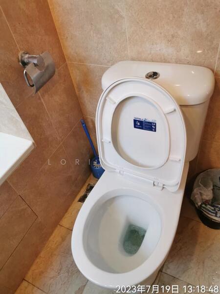 Blue Horizon, 21 West Coast Crescent, Room Rental, 200 sqft, Condominium For Rent, by Lorina Liu, 24882842 - PropertyGuru.com.sg