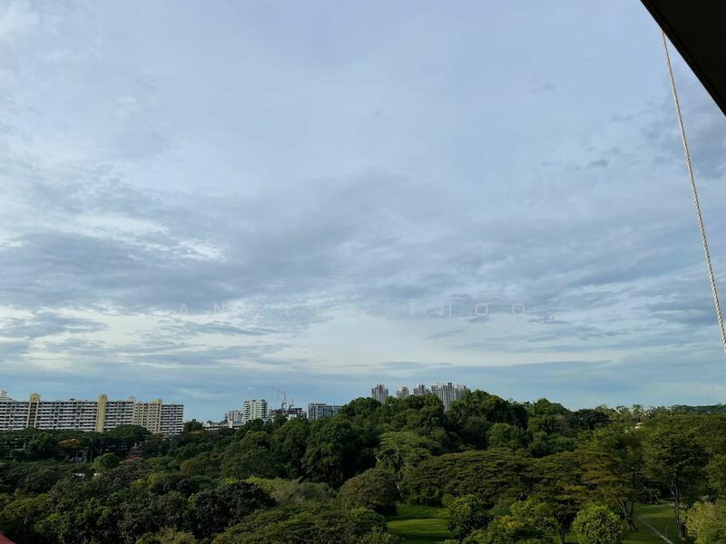 Margaret Ville, 20 Margaret Drive, 1 Bedroom, 463 sqft, Apartment For Rent, by Angella Thoo, 24884038 - PropertyGuru.com.sg