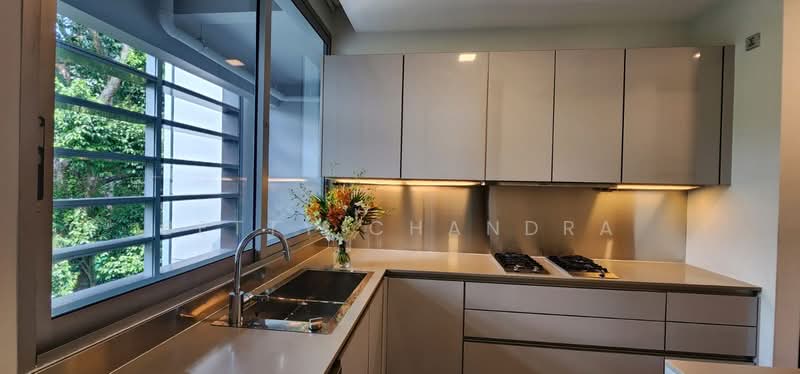 Nassim Park Residences, 21 Nassim Road, 4 Bedrooms, 6,867 sqft, Condominium For Sale, by Betty Chandra, 24884158 - PropertyGuru.com.sg
