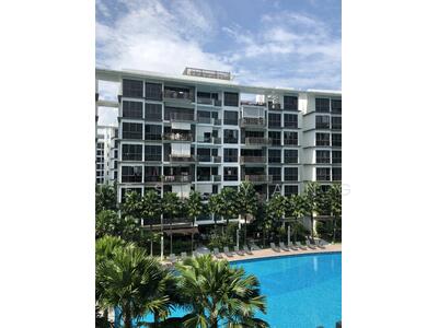 For Sale - The Inflora