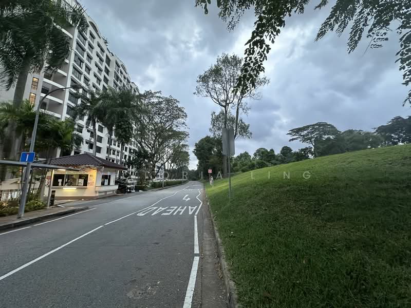 Avon Park, 1 Youngberg Terrace, Room Rental, 220 sqft, Condominium For Rent, by Victoria Ling, 24890202 - PropertyGuru.com.sg