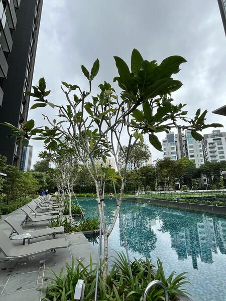 Leedon Green, 34 Leedon Heights, 1 Bedroom, 581 sqft, Condominium For Rent, by Mui Mui, 24892721 - PropertyGuru.com.sg