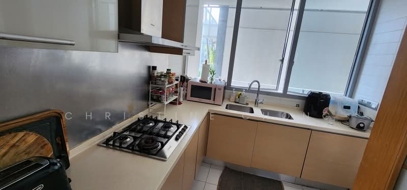 Paterson Suites, 55 Paterson Road, 4 Bedrooms, 2,164 sqft, Condominium For Rent, by Christine Chong, 24904851 - PropertyGuru.com.sg