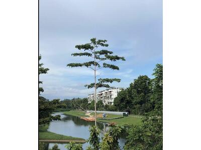 For Rent - Waterfront @ Faber