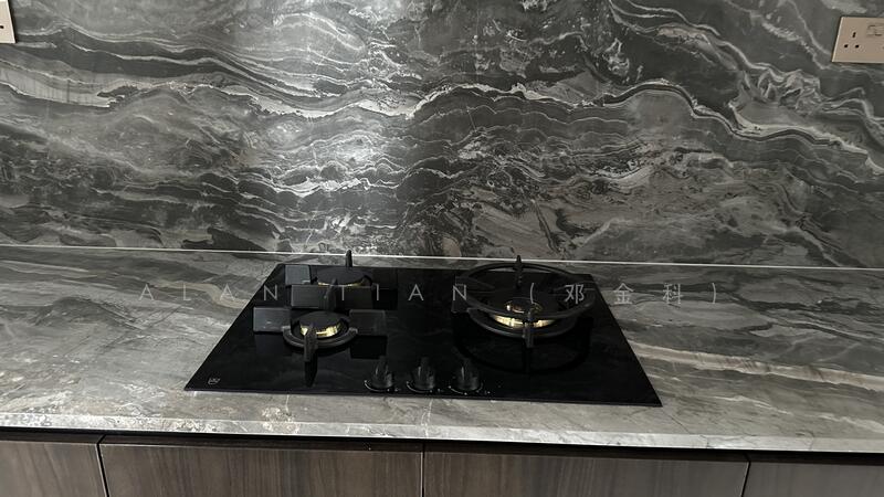 Leedon Green, 36 Leedon Heights, 4 Bedrooms, 1,496 sqft, Condominium For Rent, by Alan Tian (邓金科), 24929410 - PropertyGuru.com.sg