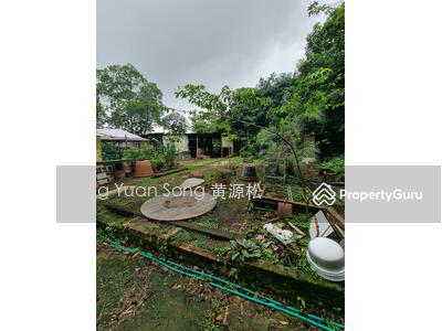 For Rent - Seletar West Farmway