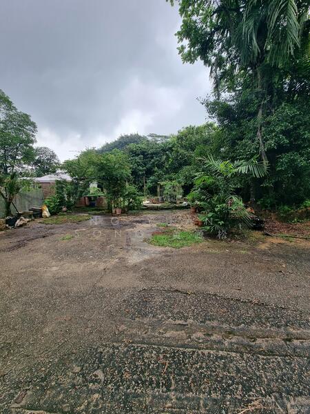 Seletar West Farmway, Seletar West Farmway, 3,500 sqft, Land Only For Rent, by Ng Yuan Song 黄源松, 24931646 - CommercialGuru.com.sg