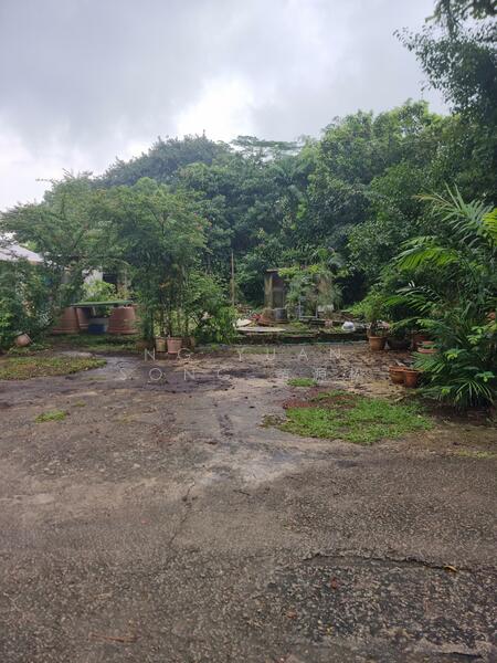 Seletar West Farmway, Seletar West Farmway, 3,500 sqft, Land Only For Rent, by Ng Yuan Song 黄源松, 24931646 - CommercialGuru.com.sg