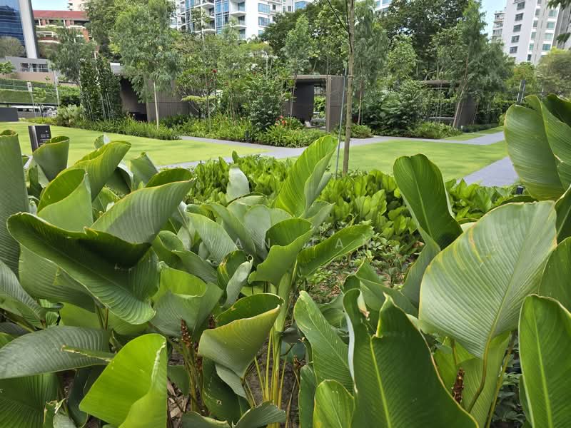 For Rent - Leedon Green