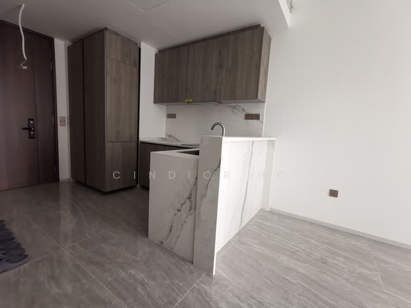 Leedon Green, 32 Leedon Heights, 1 Bedroom, 538 sqft, Condominium For Rent, by CinDior Ho, 24941355 - PropertyGuru.com.sg