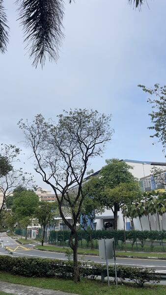 507 Serangoon North Avenue 4, 507 Serangoon North Avenue 4, 3 Bedrooms, 1,323 sqft, HDB Flat For Rent, by Jenny Lalla Lee, 24944136 - PropertyGuru.com.sg