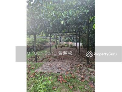 For Rent - Seletar West Farmway