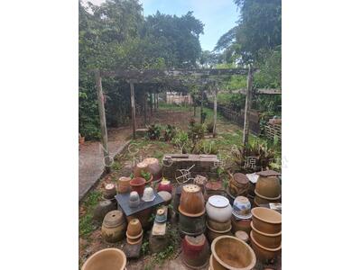 For Rent - Seletar West Farmway