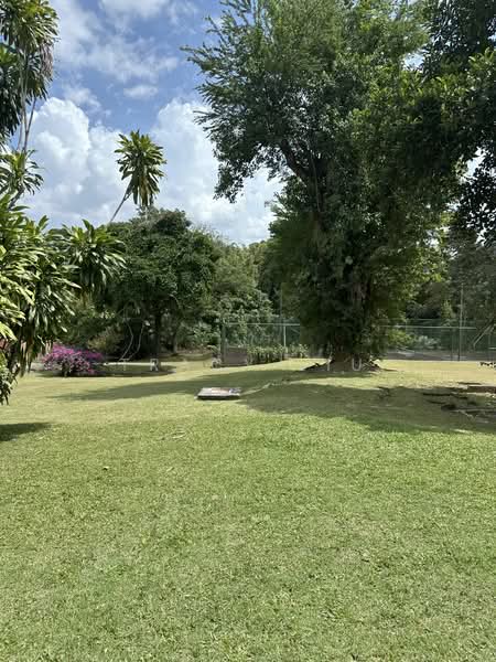 bukit Timah GCB/six avenue /Swiss club/Binjai park, , 7 Bedrooms, 7,000 sqft, Good Class Bungalow For Sale, by Tracy Liu, 24949638 - PropertyGuru.com.sg