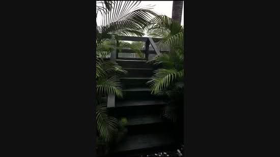 Namly Drive, Namly Drive, Tanglin / Holland / Bukit Timah, 4 Bedrooms, 3,500 sqft, Semi-Detached House For Rent, by Christiani Lukman, 24961594 - PropertyGuru.com.sg
