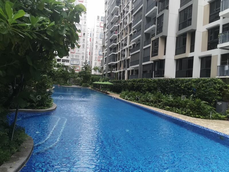 For Rent - The Rainforest