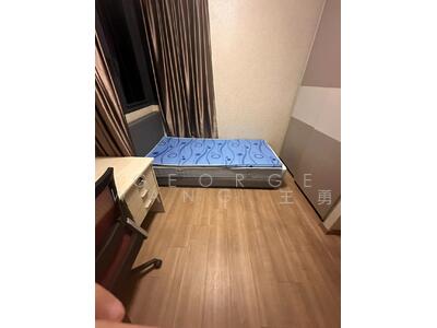 For Rent - The Rainforest