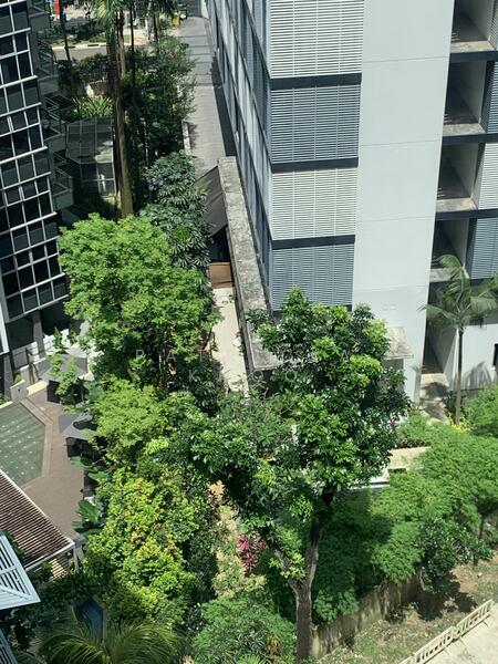 For Rent - Valley House