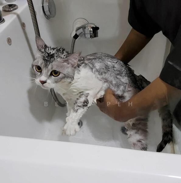 For Rent - 207 Boon Lay Place