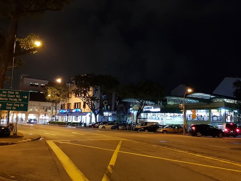264 Onan Road, Onan Road, Eunos / Geylang / Paya Lebar, Studio, 401 sqft, Corner Terrace For Rent, by Quincy Sung, 24969423 - PropertyGuru.com.sg