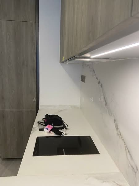 Leedon Green, 38 Leedon Heights, 1 Bedroom, 474 sqft, Condominium For Rent, by Andy Ling 凌志泉, 24971002 - PropertyGuru.com.sg