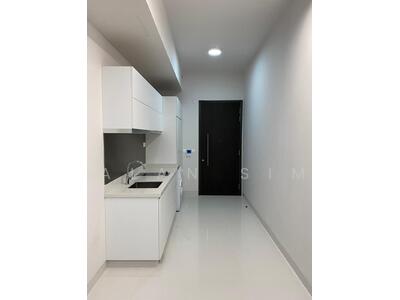 For Sale - Neem Tree