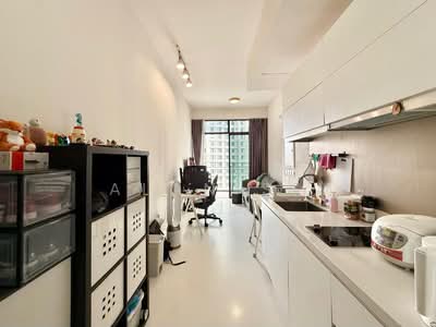 For Sale - Neem Tree