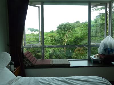 For Rent - The Raintree