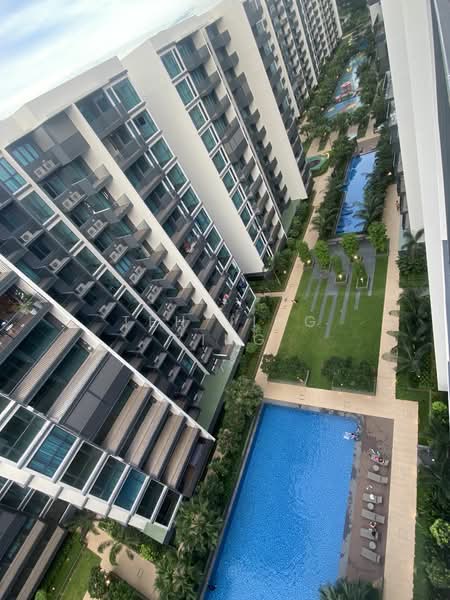 Treasure at Tampines, 47 Tampines Lane, Room Rental, 150 sqft, Condominium For Rent, by Teh Jing Ying, 24991719 - PropertyGuru.com.sg