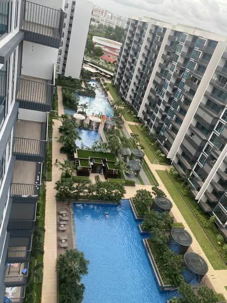 Treasure at Tampines, 47 Tampines Lane, Room Rental, 150 sqft, Condominium For Rent, by Teh Jing Ying, 24991719 - PropertyGuru.com.sg