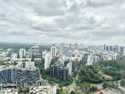 For Sale - Nouvel 18