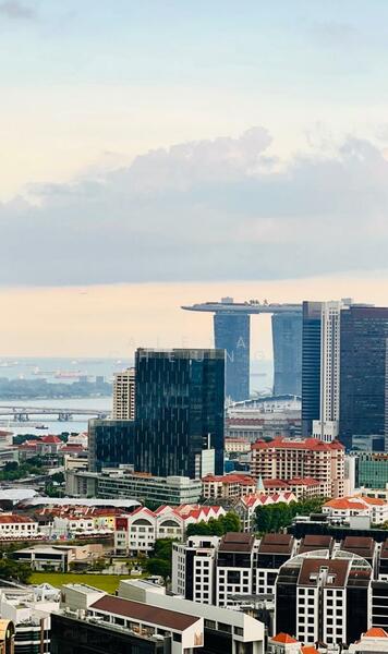 Riviere, 3 Jiak Kim Street, 4 Bedrooms, 2,002 sqft, Condominium For Rent, by Alexa Cheung, 25007639 - PropertyGuru.com.sg