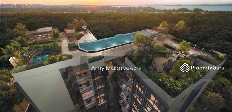 Rooftop Pool and Amenities 