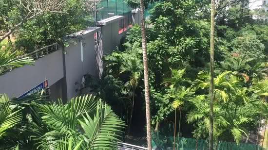 Binjai Park, Binjai Park, Clementi Park / Upper Bukit Timah, 5 Bedrooms, 5,000 sqft, Good Class Bungalow For Sale, by Peter Yao, 25018753 - PropertyGuru.com.sg
