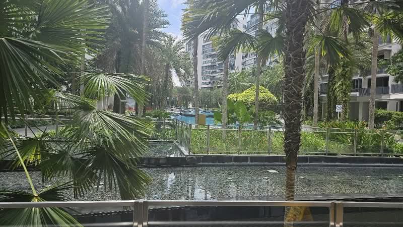 The Palette, 103 Pasir Ris Grove, 1 Bedroom, 506 sqft, Condominium For Rent, by Elaine Lim, 25026300 - PropertyGuru.com.sg