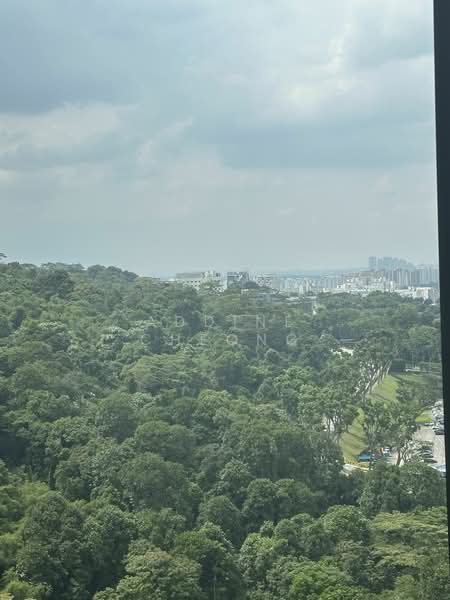 Midwood, 8 Hillview Rise, 1 Bedroom, 484 sqft, Condominium For Rent, by Addine Cheong, 25034507 - PropertyGuru.com.sg